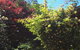 Sea Cottage - thumb 3