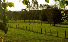 Stone Cottage Mittagong - Surfers Paradise Gold Coast 0