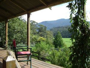 Fairview Farm Cottages - Surfers Paradise Gold Coast 6