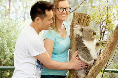 Mt Lofty YHA - Surfers Paradise Gold Coast 6