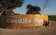 Coodlie Park - Port Kenny - Venus Bay - thumb 5