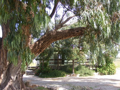 Coodlie Park - Port Kenny - Venus Bay - Surfers Paradise Gold Coast 4