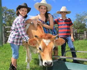 Bunyip Springs Farmstay - Surfers Paradise Gold Coast 3