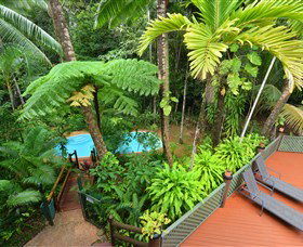 Wait A While Daintree - Surfers Paradise Gold Coast 1