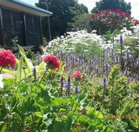 Eastwood Farm - Surfers Paradise Gold Coast