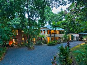 Red Mill House In Daintree - Surfers Paradise Gold Coast 0