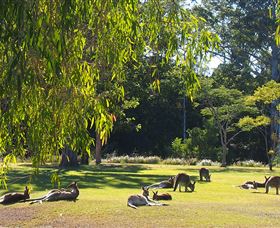 Bellmere On Richards - Surfers Paradise Gold Coast 2