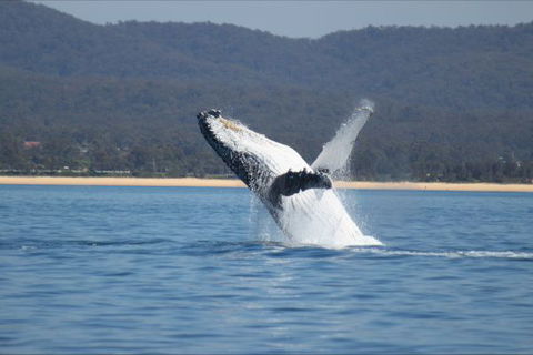 Eden Beachfront Holiday Park - Surfers Paradise Gold Coast 5