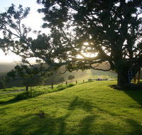 Kilfeacle Farm Cottage - Surfers Paradise Gold Coast