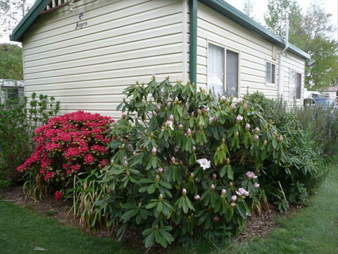 Jenolan Caravan Park - Surfers Paradise Gold Coast 1