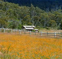 Pender Lea Alpine Guest Accommodation - Surfers Paradise Gold Coast