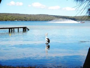 Dungowan Waterfront  Accommodation - Surfers Paradise Gold Coast 0