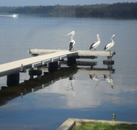 Basin Cabin - Surfers Paradise Gold Coast