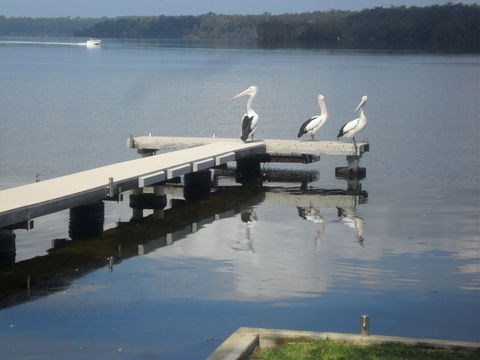 Basin Cabin - Surfers Paradise Gold Coast 0