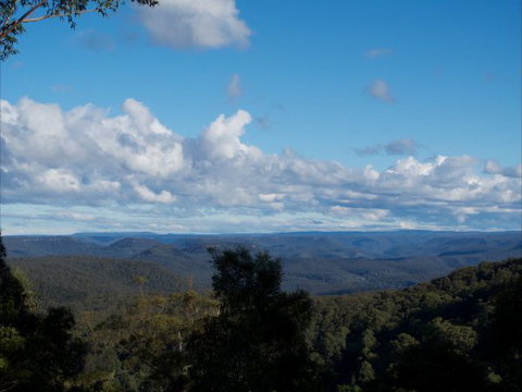 The Elk - Surfers Paradise Gold Coast 2