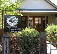 The Speckled Nest - Surfers Paradise Gold Coast