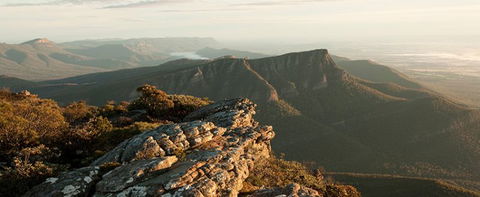Grampians Estate - Surfers Paradise Gold Coast 1