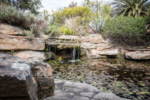 River Shack Rentals - Living The Dream - Surfers Paradise Gold Coast 35