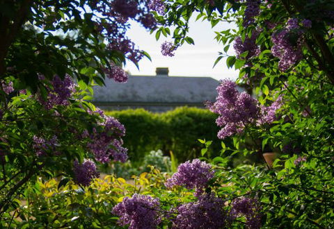 Eurambeen Historic Homestead And Gardens - Surfers Paradise Gold Coast 1