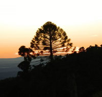 Bunya Mountains Accommodation Centre - Surfers Paradise Gold Coast