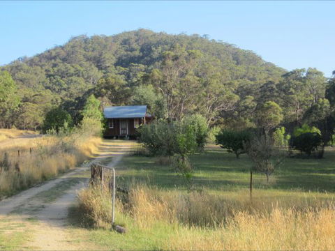Peach Tree Cabin - Surfers Paradise Gold Coast 1