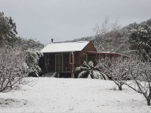 Peach Tree Cabin - Surfers Paradise Gold Coast 9