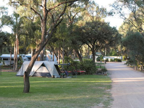 Riverbend Caravan Park Renmark - Surfers Paradise Gold Coast 1