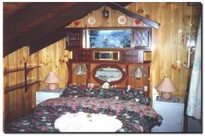 Karelia Alpine Lodge - Surfers Paradise Gold Coast 2