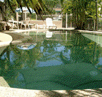 Mariner Gables - Surfers Paradise Gold Coast