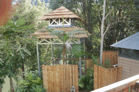 The Old Convent Guesthouse - Surfers Paradise Gold Coast 3