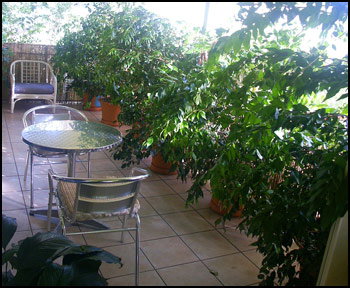 Aba Abode - Surfers Paradise Gold Coast 0