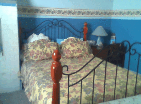 Hamilton Heritage Bed & Breakfast - Surfers Paradise Gold Coast 2