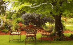 Glencoe Country Bed And Breakfast - Surfers Paradise Gold Coast 1