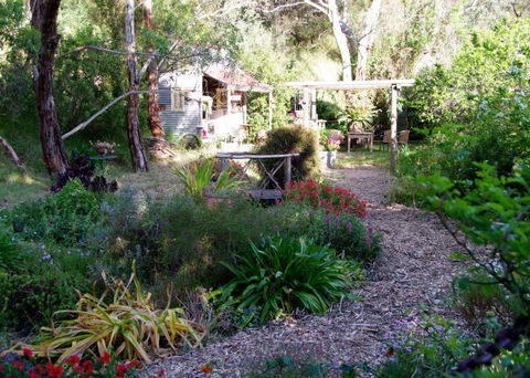 Pear Tree Hollow - Surfers Paradise Gold Coast 8