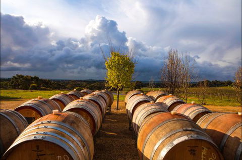 Barossa Chateau - Surfers Paradise Gold Coast 4