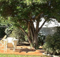 Bev's Retreat Bed and Breakfast - Surfers Paradise Gold Coast