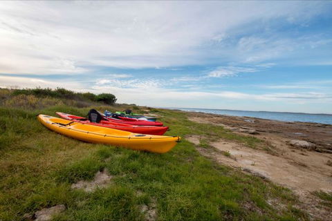 Coorong Cabins - Surfers Paradise Gold Coast 7