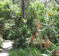 Dunns Creek Downs Nature Stay - Surfers Paradise Gold Coast