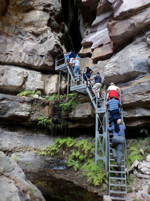 Takarakka Bush Resort Carnarvon Gorge - Surfers Paradise Gold Coast 0
