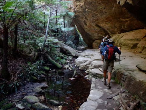 Takarakka Bush Resort Carnarvon Gorge - Surfers Paradise Gold Coast 6