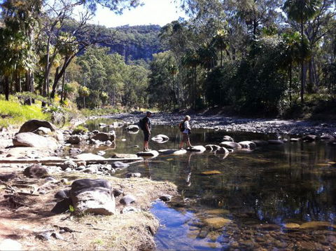 Takarakka Bush Resort Carnarvon Gorge - Surfers Paradise Gold Coast 9