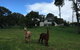 The Old Drik Drik Schoolhouse Retreat - thumb 5
