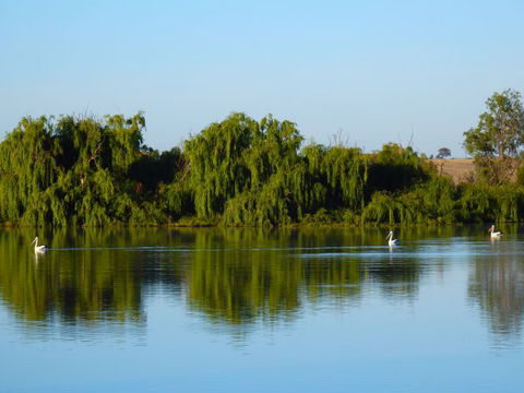 Westbrook Park - Surfers Paradise Gold Coast 2