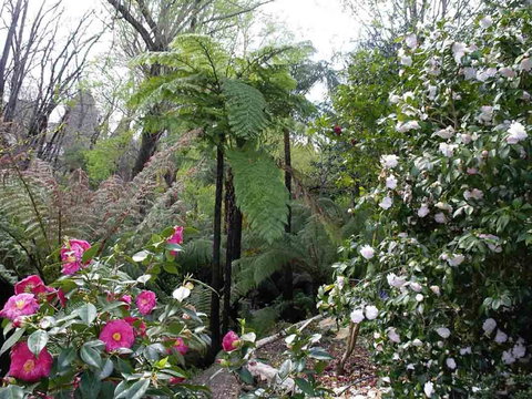 Adelaide Hills B&B Accommodation - Surfers Paradise Gold Coast 3