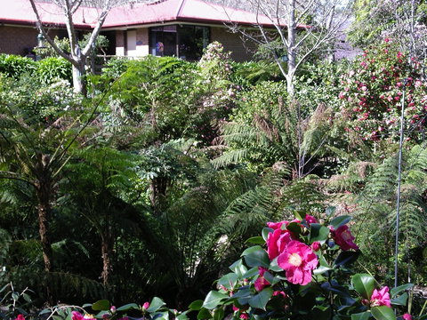 Adelaide Hills B&B Accommodation - Surfers Paradise Gold Coast 6