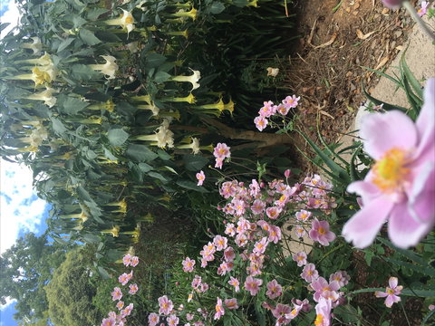 Adelaide Hills B&B Accommodation - Surfers Paradise Gold Coast 7