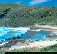 Banksia Camp at D'Entrecasteaux National Park - Surfers Paradise Gold Coast