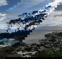 Binalong Bay Beach Shack - Surfers Paradise Gold Coast
