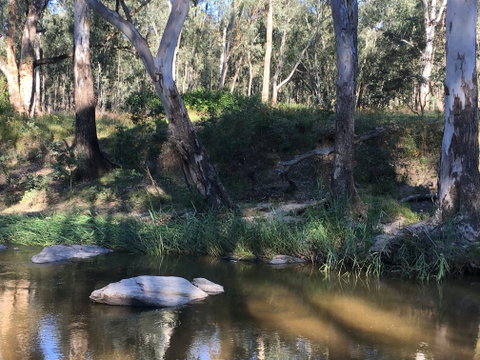 Highfield Farm And Woodland Bush Campsites - Surfers Paradise Gold Coast 1