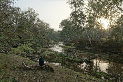 Highfield Farm And Woodland Bush Campsites - Surfers Paradise Gold Coast 2